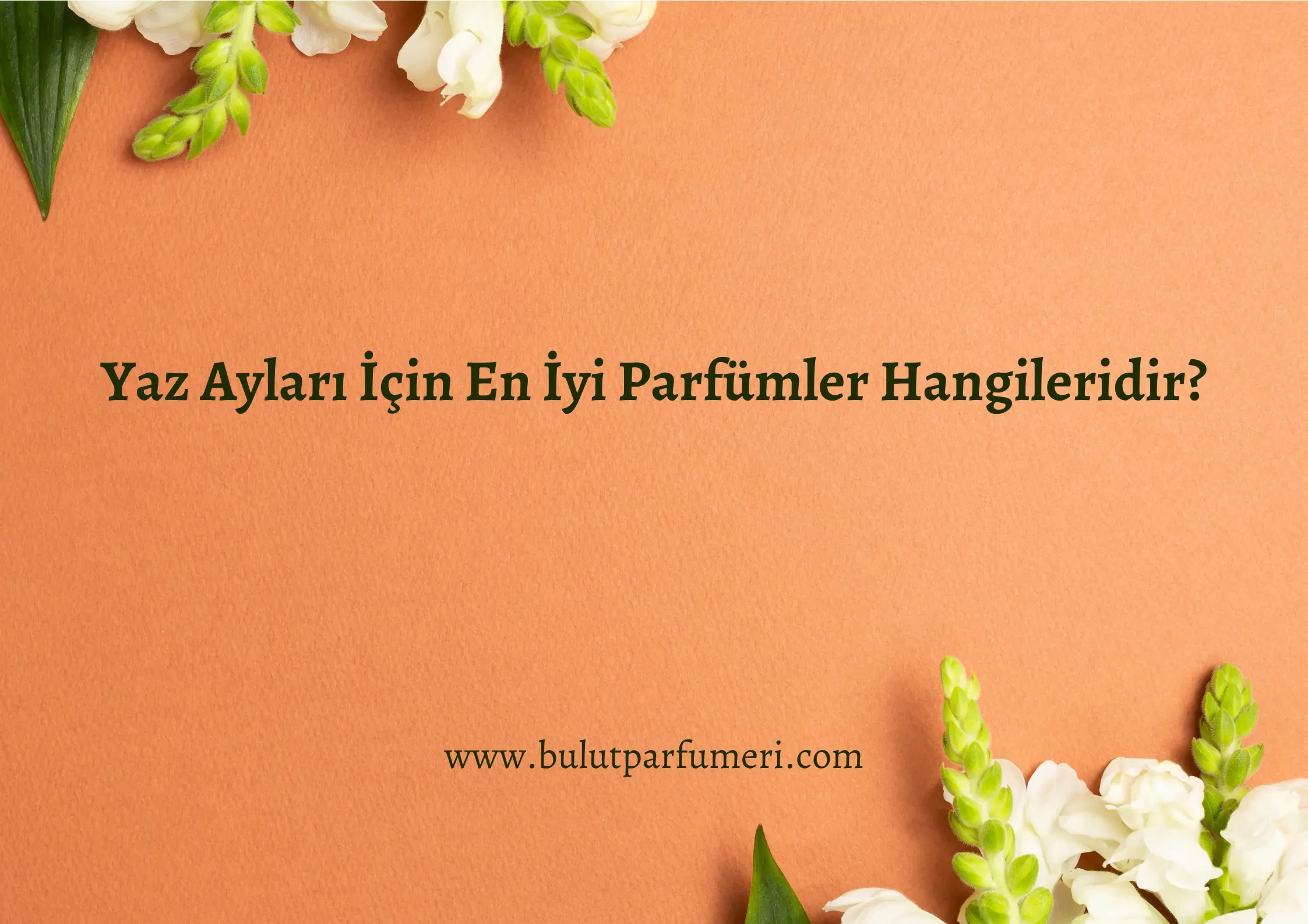Yaz Ayları İçin En İyi Parfümler Hangileridir?